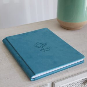 2v4a9731b