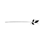 floral 02